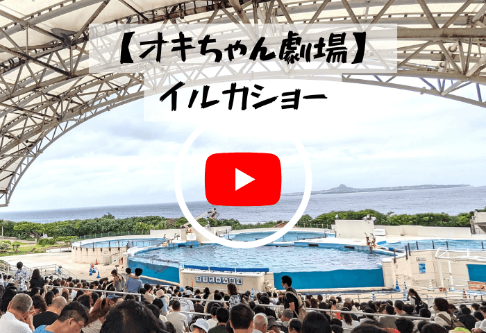 2023年7月31日に実際に行った沖縄県国頭郡本部町にある美ら海水族館横の「オキちゃん劇場」で行われるイルカショーの動画画像（画像をタップすると動画に飛びます）